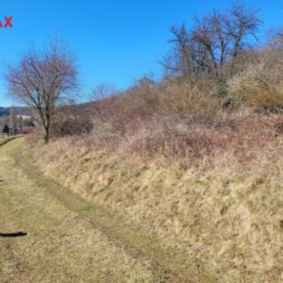 Prodej lesa 21632 m² Běštín