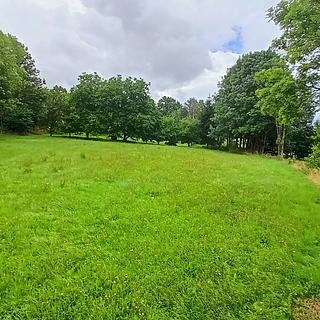 Prodej stavební parcely 1 913 m² Borotín Libenice