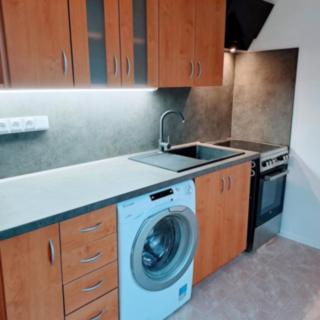 Pronájem bytu 2+1 52 m² Ústí nad Labem Klíše, Klíšská