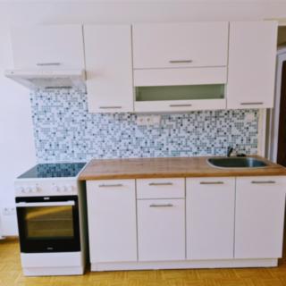 Pronájem bytu 1+1 45 m² Ústí nad Labem Střekov, Kozinova