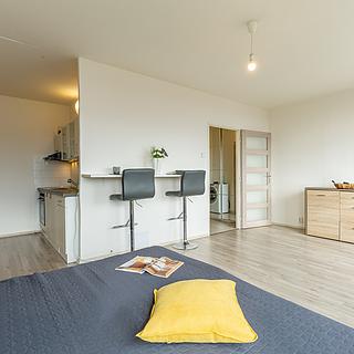 Prodej bytu 1+kk a garsoniéry 33 m² Litvínov Hamr, Přátelství