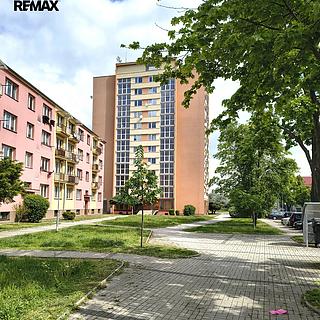 Pronájem bytu 1+1 40 m² Žatec, Havlíčkovo náměstí