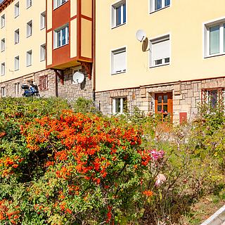 Prodej bytu 1+1 43 m² Meziboří, Okružní