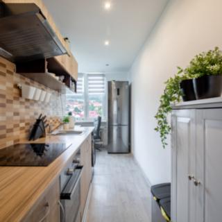 Prodej bytu 2+1 60 m² Meziboří, Nad parkem