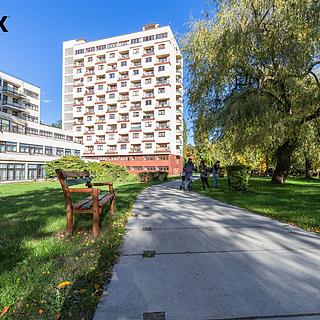 Pronájem bytu 2+kk 53 m² Litvínov Horní Litvínov, Koldům