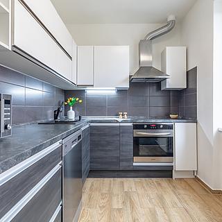 Pronájem bytu 2+1 53 m² Litvínov