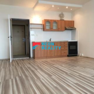 Pronájem bytu 1+kk a garsoniéry 33 m² Orlová Lutyně, F. S. Tůmy