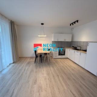 Pronájem bytu 1+kk a garsoniéry 37 m² Ostrava Moravská, F. X. Riepla
