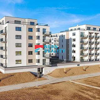 Pronájem bytu 1+kk a garsoniéry 35 m² Opava Předměstí, Císařského pluku