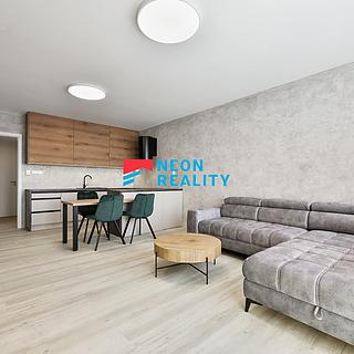 Pronájem bytu 1+kk a garsoniéry 40 m² Ostrava Slezská, U Hájenky