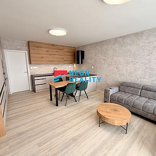 Pronájem bytu 1+kk, garsoniery 40 m² Ostrava