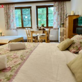 Prodej hotelu a penzionu 468 m² Horní Planá, Náměstí