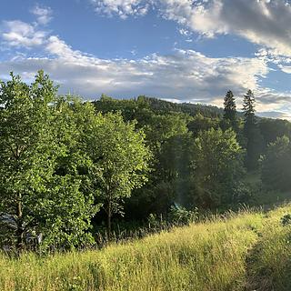 Prodej stavební parcely 600 m² Sušice Volšovy