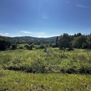 Prodej lesa 17 502 m² Nezdice na Šumavě