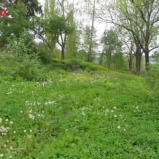 Prodej stavební parcely 1 987 m² Záblatí Řepešín