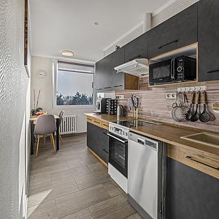 Prodej bytu 2+1 53 m² Veselí nad Lužnicí I, K Zastávce