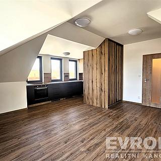 Pronájem bytu 2+kk 51 m² Dolní Branná