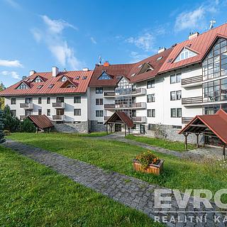 Prodej bytu 1+kk a garsoniéry 34 m² Harrachov Nový Svět