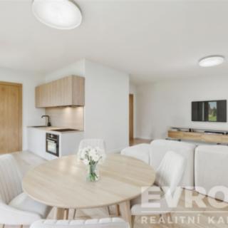 Prodej bytu 3+kk 72 m² Dolní Branná