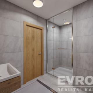 Prodej bytu 3+kk 72 m² Dolní Branná