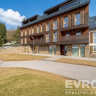 Prodej bytu 2+kk 71 m² Vítkovice