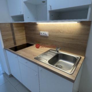 Pronájem bytu 1+1 41 m² Teplice Trnovany, Antonína Sochora