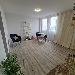 Pronájem bytu 1+1 36 m² Teplice Trnovany, Antonína Sochora