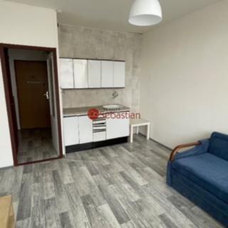 Pronájem bytu 1+kk a garsoniéry 22 m² Most, U Věžových domů