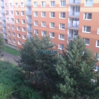 Pronájem bytu 1+1 34 m² Ústí nad Labem Severní Terasa, Kmochova