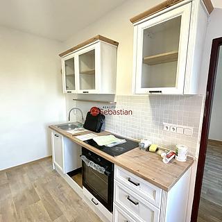 Pronájem bytu 1+1 40 m² Libochovice
