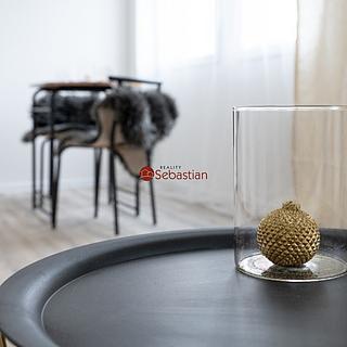 Pronájem bytu 1+1 36 m² Teplice Trnovany, Antonína Sochora