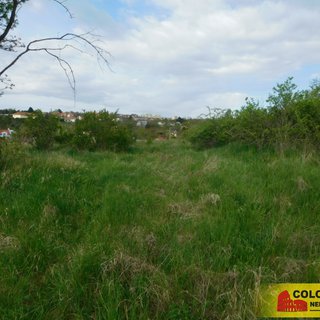 Prodej zahrady 473 m² Znojmo
