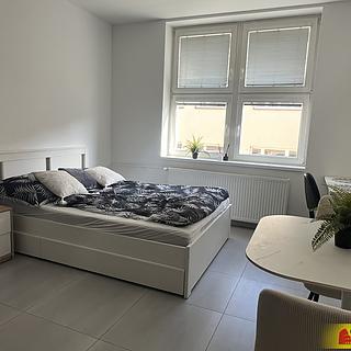 Pronájem bytu 1+kk a garsoniéry 24 m² Brno Brno-město