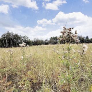 Prodej stavební parcely 2 000 m² Sebranice
