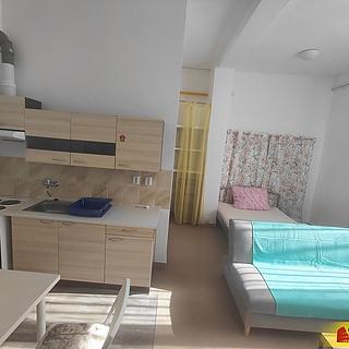 Pronájem bytu 1+kk a garsoniéry 30 m² Brno Maloměřice