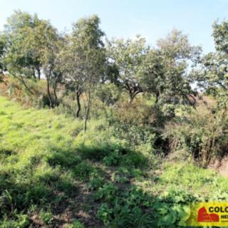 Prodej zahrady 447 m² Valtice