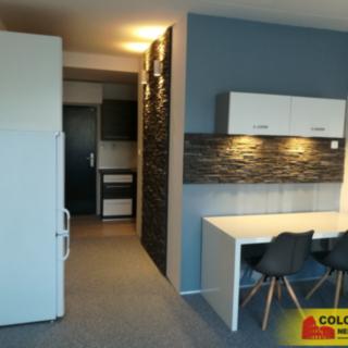 Pronájem bytu 1+kk a garsoniéry 31 m² Uherský Brod