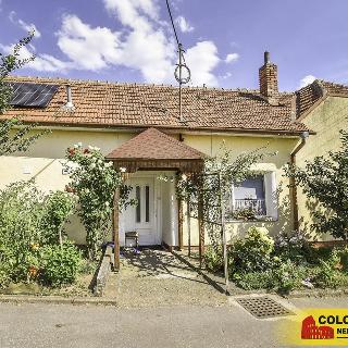 Prodej rodinného domu 168 m² Domanín