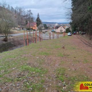 Prodej lesa 12 020 m² Letovice