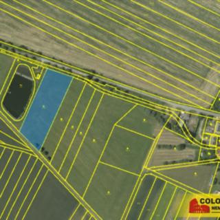 Prodej ostatního pozemku 20 280 m² Světlá
