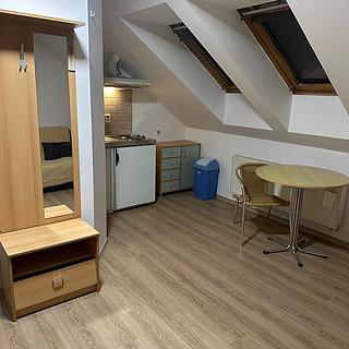 Pronájem bytu 1+kk a garsoniéry 28 m² Brno, Palackého třída