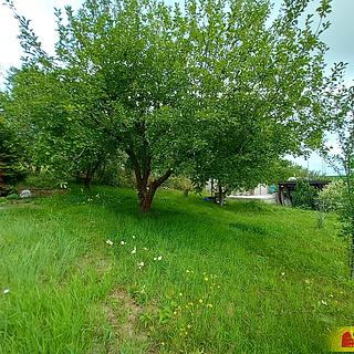 Prodej chaty 15 m² Moravská Třebová