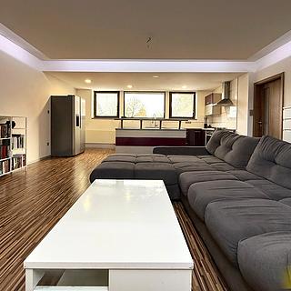 Prodej bytu 3+kk 92 m² Rudoltice