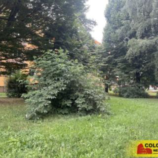 Prodej zahrady 134 m² Olomouc