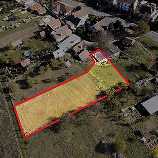 Prodej vinného sklepa 145 m² Nový Šaldorf-Sedlešovice