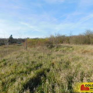 Prodej zahrady 473 m² Znojmo