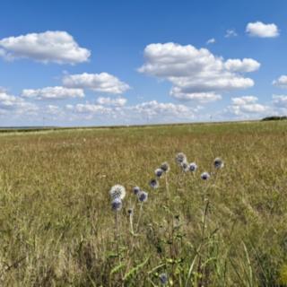 Prodej komerčního pozemku 8168 m² Znojmo