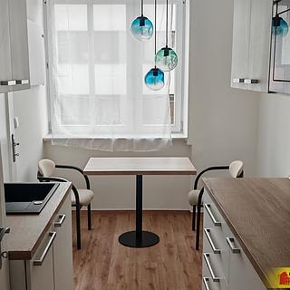 Pronájem bytu 1+1 45 m² Brno Staré Brno