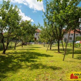 Prodej stavební parcely 546 m² Vážany