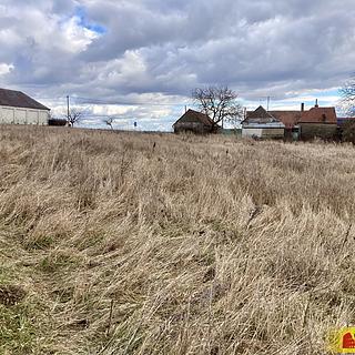 Pronájem zahrady 2 716 m² Běhařovice Ratišovice